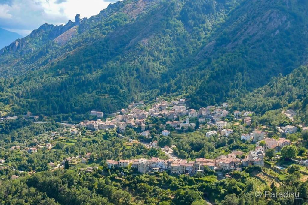 شقة Studio Venaco Centre Corse المظهر الخارجي الصورة